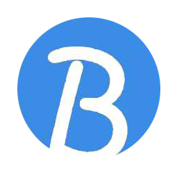 BNEX Logo